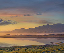 Mountain range near lake at sunrise, Soda Lake, Carrizo Plain National Monument, California