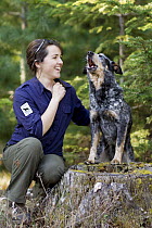 Domestic Dog (Canis familiaris) named Jack, a scent detection dog with Conservation Canines, howling next to field technician Suzie Marlow, northeast Washington