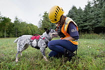 Domestic Dog (Canis familiaris) named Zilly, a scent detection dog with Conservation Canines, with her handler during wind farm inspection, New York