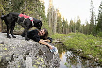 Domestic Dog (Canis familiaris) named Winnie, a scent detection dog with Conservation Canines, and field technician Caleb Staneck, Sierra Nevada, California