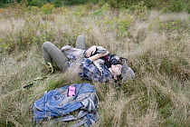 Domestic Dog (Canis familiaris) named Skye, a scent detection dog with Conservation Canines, relaxing with field technician Suzie Marlow, Adirondack Mountains, New York