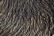 Lava flow patterns, Sullivan Bay, Santiago Island, Galapagos Islands, Ecuador