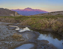 Salt Creek, Grapevine Mountains, Death Valley National Park, California