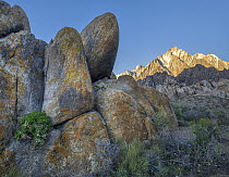 Rock formation, Alabama Hills and Sierra Nevada, California