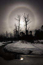 Full halo circles around moon in winter night, Bemidji, Minnesota