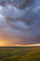 Storm over prairie, Badlands National Park, South Dakota