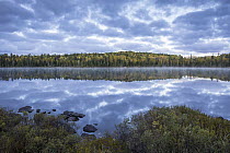 Clouds reflect on calm surface of Swamper Lake in autumn, Superior National Forest, Minnesota