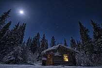 Abandoned cabin from the Gold Rush area under night sky, Yukon, Canada