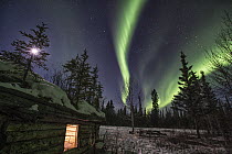 Abandoned cabin from the Gold Rush area under night sky with northern lights, Yukon, Canada