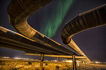 Northern lights over Alyeska Pipeline, Prudhoe Bay, Alaska
