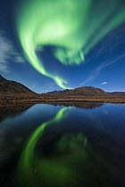 Northern lights reflecting in pond, Ogilvie Mountains, northern Yukon, Canada