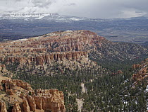 Hoodoos seen from Bryce Point, Bryce Canyon National Park, Utah