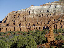 Eroding rock formations, Kodachrome Basin State Park, Utah