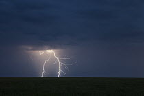 Lightning strikes over steppe, eastern Mongolia
