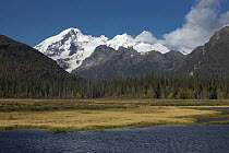 Mount Iliamna above Chinitna Bay, Lake Clark National Park, Alaska