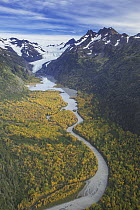 Taiga and glacial river below retreating Wosnesenski Glacier, Kachemak Bay State Park, Alaska