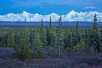 Taiga and Alaska Range with Mount Brooks and Mount Mather in autumn near Wonder Lake, Denali National Park, Alaska