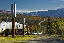 Alaska pipeline along Richardson Highway, Alaska
