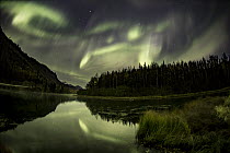 Northern lights above lake, Glen Highway, Alaska