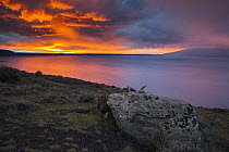 Sunrise over lake, Sarmiento Lake, Torres del Paine National Park, Patagonia, Chile