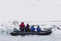 Polar Bear (Ursus maritimus) and tourists, Svalbard, Norway