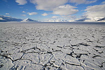 Ice in fjord, Svalbard, Norway