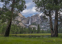 Yosemite Falls from Cook's Meadow, Yosemite Valley, Yosemite National Park, California