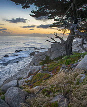 Coastline and the Pacific Ocean, Pescadero Point, Pebble Beach, California