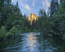 Half Dome reflecting in Merced River, Yosemite National Park, California