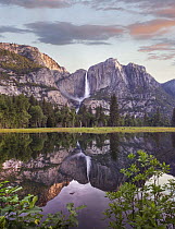 Yosemite Falls reflected in flooded Cook's Meadow, Yosemite Valley, Yosemite National Park, California