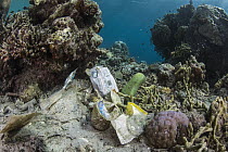 Plastic trash in coral reef, Gili Air, Lesser Sunda Islands, Indonesia