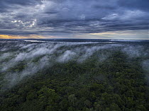 Sunrise over rainforest, Amazon, Yasuni National Park, Ecuador