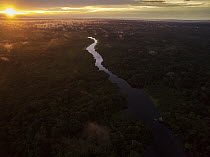 Sunset over rainforest, Amazon, Yasuni National Park, Ecuador