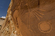 Thunderbird petroglyph made by Ancestral Puebloans, Comb Ridge, Cedar Mesa, Bears Ears National Monument, Utah