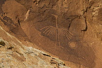 Thunderbird petroglyph made by Ancestral Puebloans, Comb Ridge, Cedar Mesa, Bears Ears National Monument, Utah