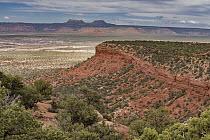Sandstone cliff and Bears Ears mesas, Valley of the Gods, Bears Ears National Monument, Utah