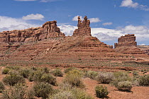 Sandstone rock formations, Valley of the Gods, Bears Ears National Monument, Utah