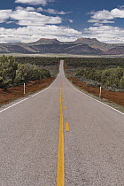 Road and Bears Ears mesas, Bears Ears National Monument, Utah