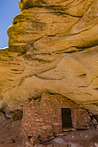 Defensive wall ruin, Cedar Mesa, Bears Ears National Monument, Utah