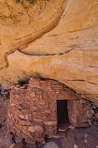 Defensive wall ruin, Cedar Mesa, Bears Ears National Monument, Utah