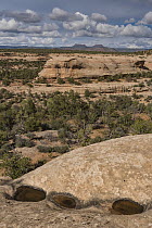 Sandstone cliffs and Bears Ears mesas, Bears Ears National Monument, Utah