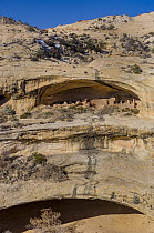 Butler Wash Ruins, which were occupied about 700 years ago, Bears Ears National Monument, Utah