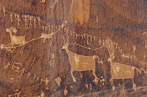 Petroglyphs made by Ancestral Puebloans, Procession Panel, Comb Ridge, Cedar Mesa, Bears Ears National Monument, Utah