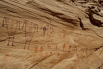 Petroglyphs made by Ancestral Puebloans, Birthing Panel, Grand Gulch, Cedar Mesa, Bears Ears National Monument, Utah