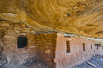Moon House ruins, Grand Gulch, Bears Ears National Monument, Utah