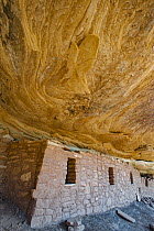 Moon House ruins, Grand Gulch, Bears Ears National Monument, Utah