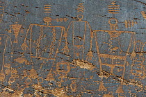 Petroglyphs made by Ancestral Puebloans, Butler Wash, Bears Ears National Monument, Utah