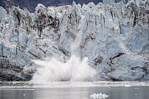 Large piece of ice calving off Johns Hopkins Glacier, Glacier Bay National Park, Alaska