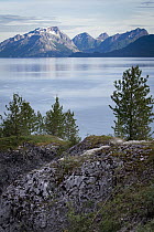 Lichen-covered rocks, bay, and coastal mountains, Glacier Bay National Park, Alaska