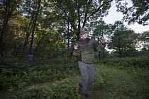 Biologist, Morgan Swingen, setting up mist net to capture bats during white nose syndrome research, Sherburne National Wildlife Refuge, Minnesota